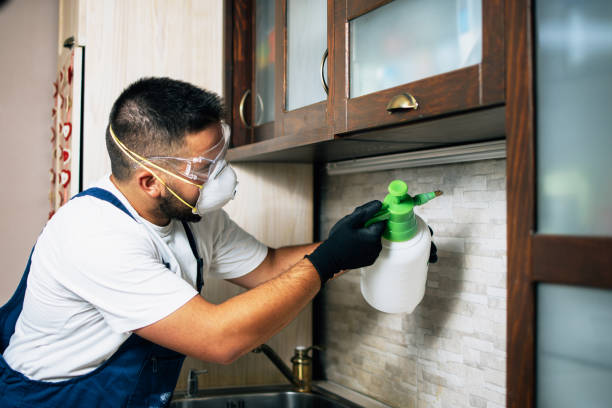 Best Best Pest Control Near Me  in Dorr, MI