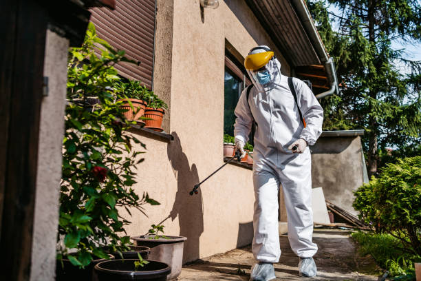 Best Pest Control Near Me in Dorr, MI