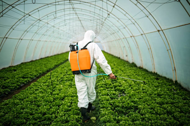 Best Affordable Pest Control Services  in Dorr, MI