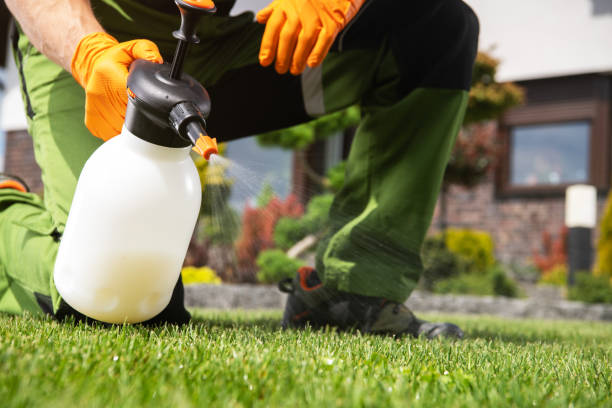 Best Bird Control  in Dorr, MI