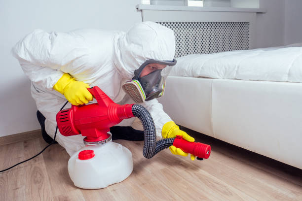 Best Emergency Pest Control  in Dorr, MI
