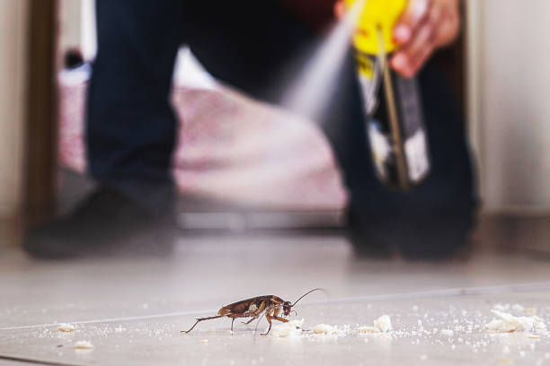 Best Cockroach Control Services  in Dorr, MI