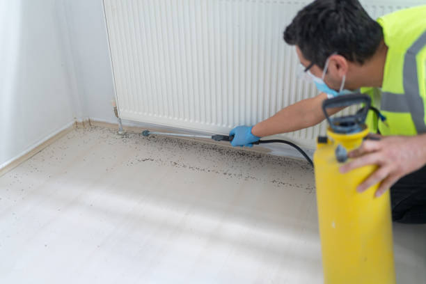 Best Best Pest Control Companies  in Dorr, MI