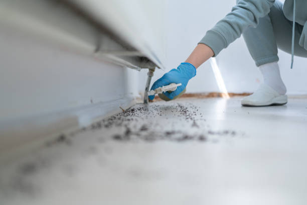 Best Wildlife Control Services  in Dorr, MI